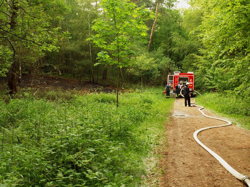 Waldbrand Bergisch Gladbach Bensberg P127.JPG